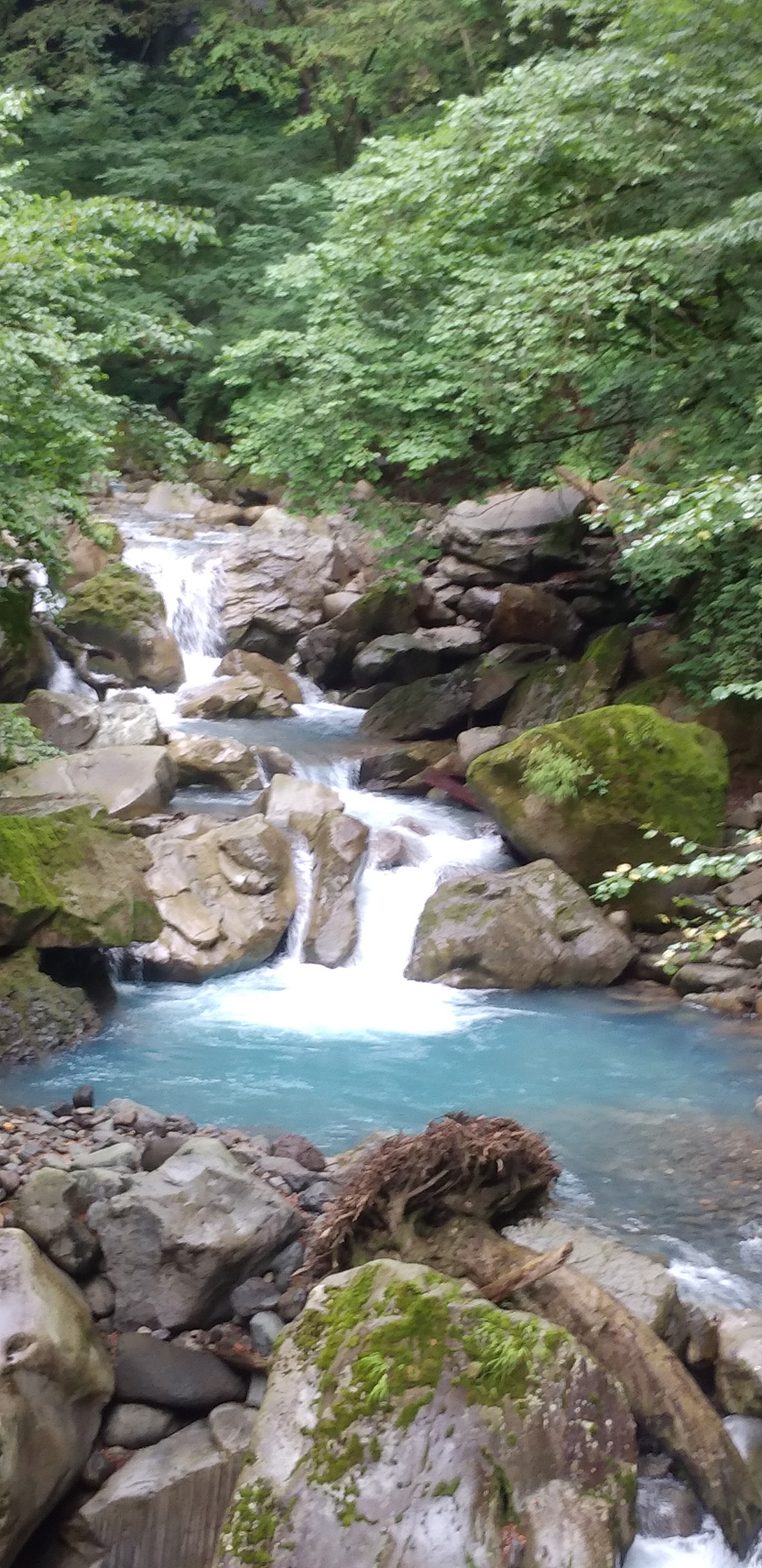 スッカン沢 2021 08 07 スノーブライトさんの高原山 釈迦ヶ岳 鶏頂山の活動データ Yamap ヤマップ