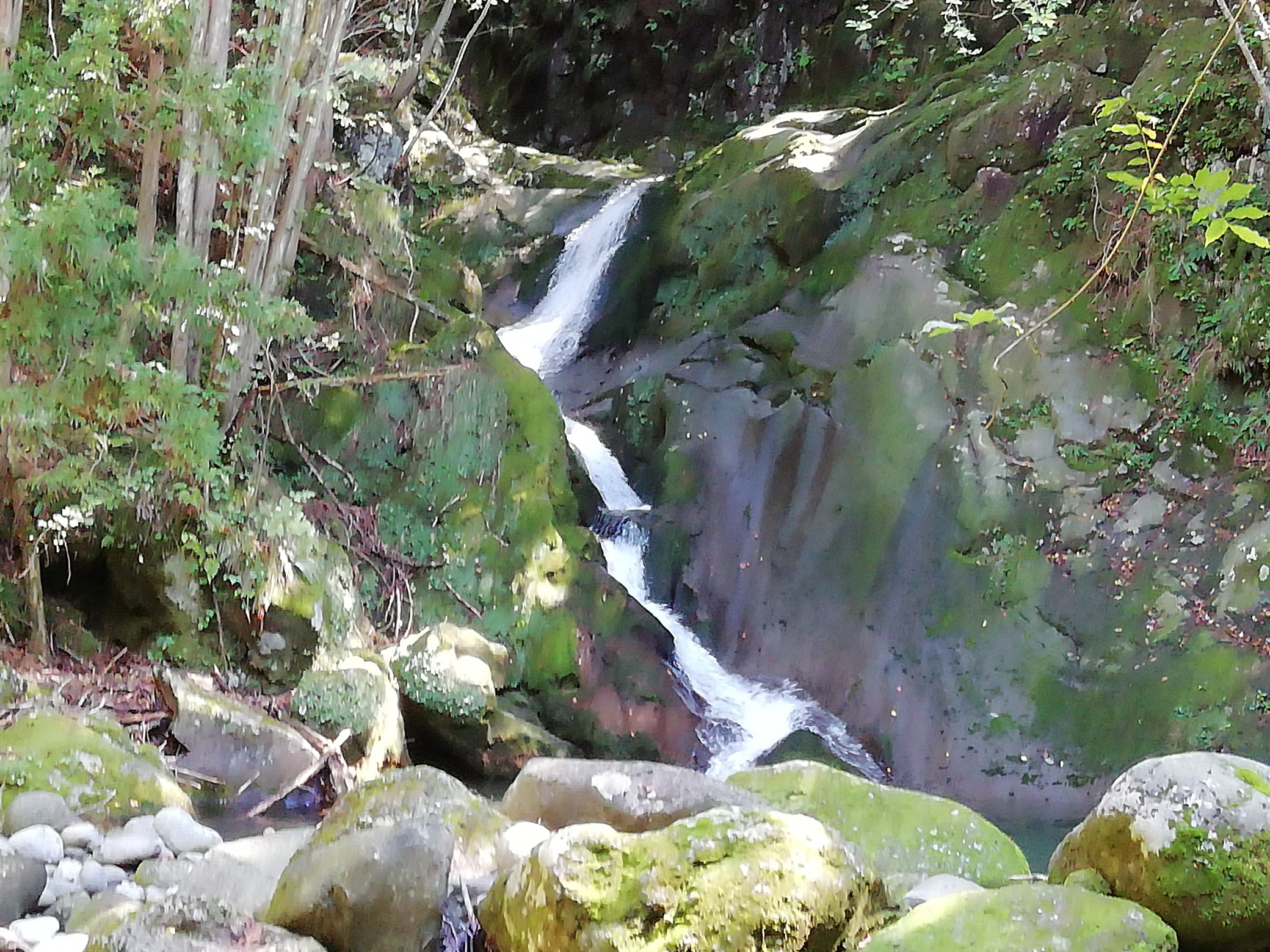 高瀬峡散策 遊佐町 21 09 25 ムサシさんの遊佐町の活動データ Yamap ヤマップ