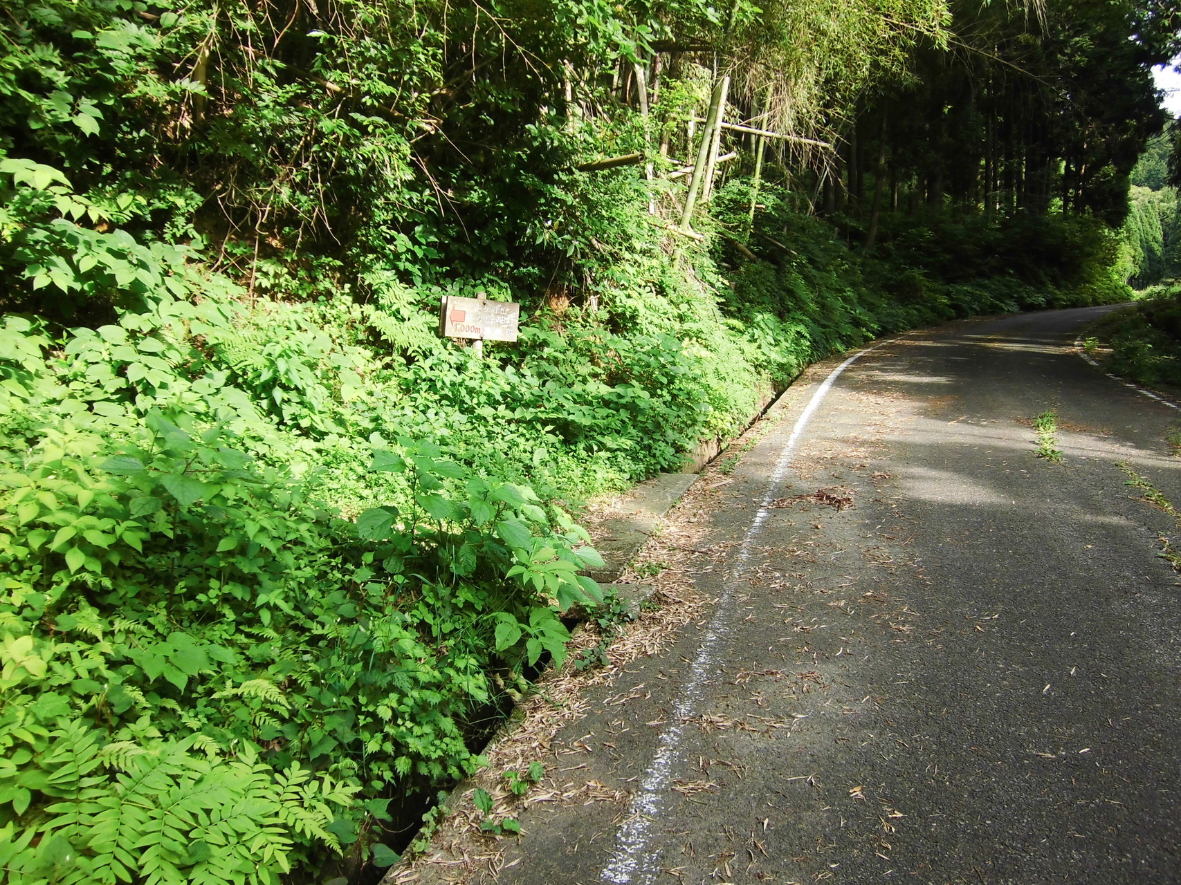 牛ヶ峰山 牛ヶ峯神社 ピストン しょんさんの鳥取市の活動日記 Yamap ヤマップ