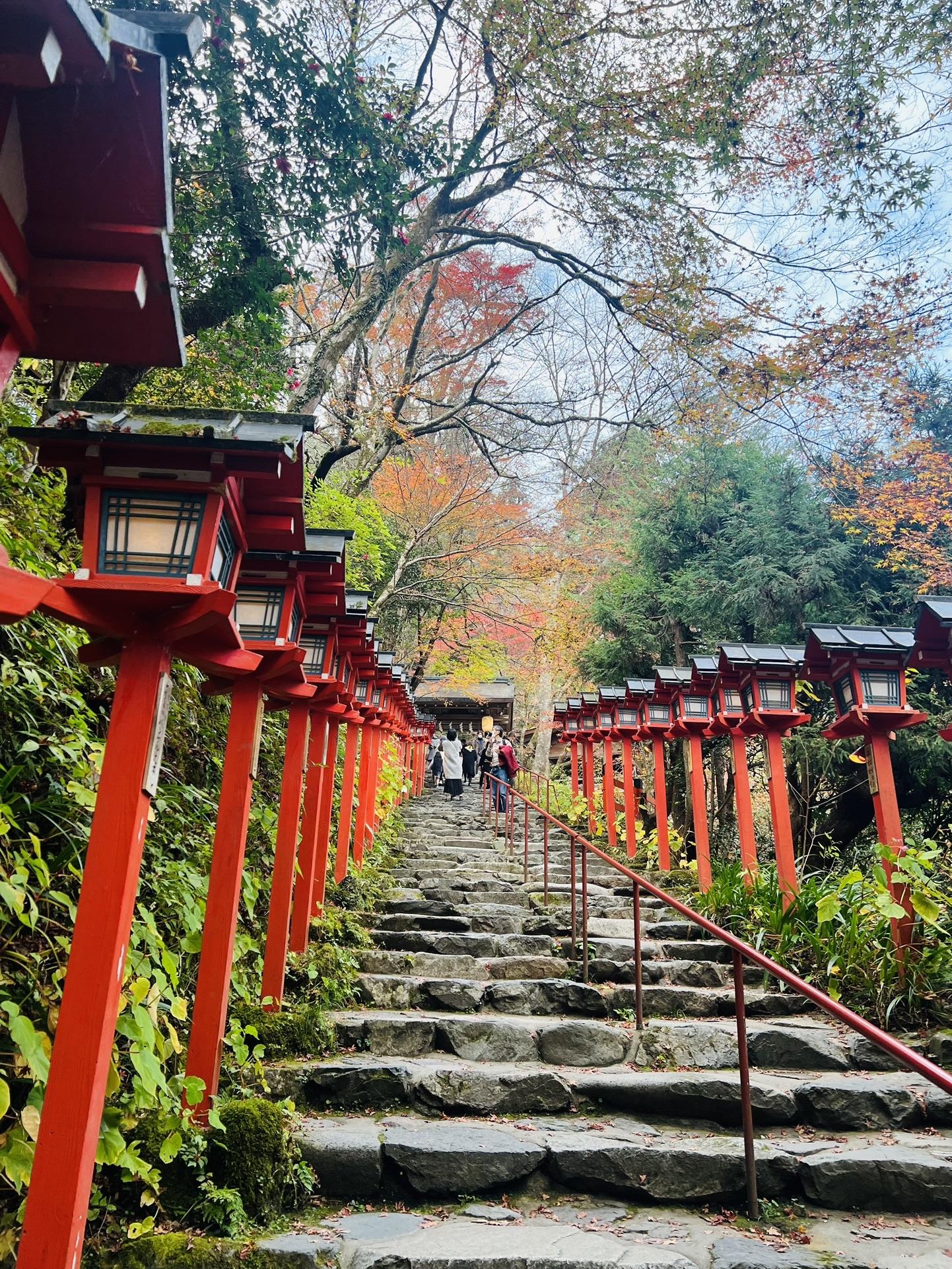 鞍馬山🍁鞍馬寺〜貴船神社⛩散策 / rierieさんの貴船山・鞍馬山の活動データ | YAMAP / ヤマップ