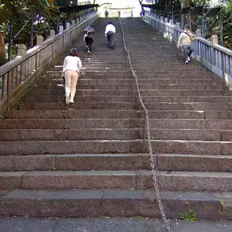 愛宕神社の出世坂（男坂）。
実際に登ると写真よりも急に感じます😓