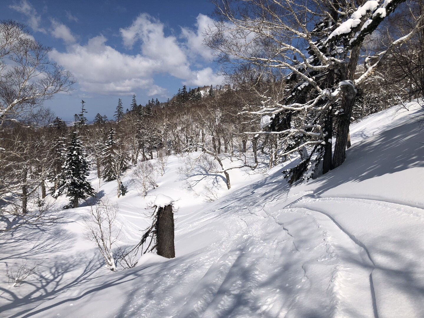 キロロ De オフピステエリア開拓 余市岳 定山渓天狗岳の写真15枚目 自分がつけたラインがいっぱい 笑笑 Yamap ヤマップ