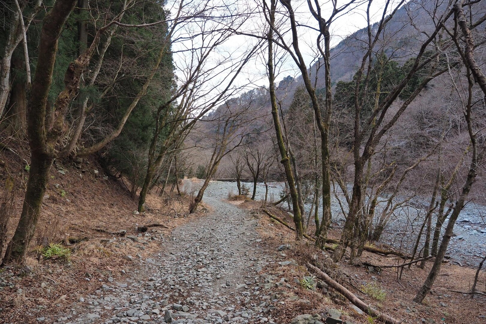 塔ノ岳−丹沢山−蛭ヶ岳−鍋割山の写真