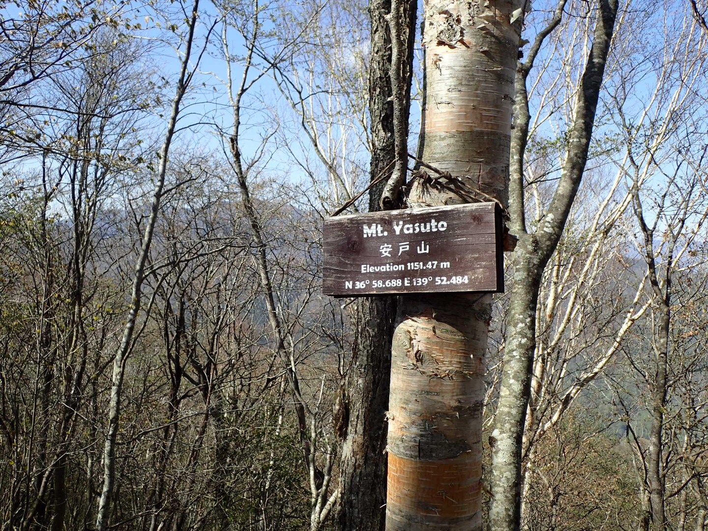 安戸山 ＜栃木百＞ / あかじい22さんの安戸山の活動データ YAMAP / ヤマップ