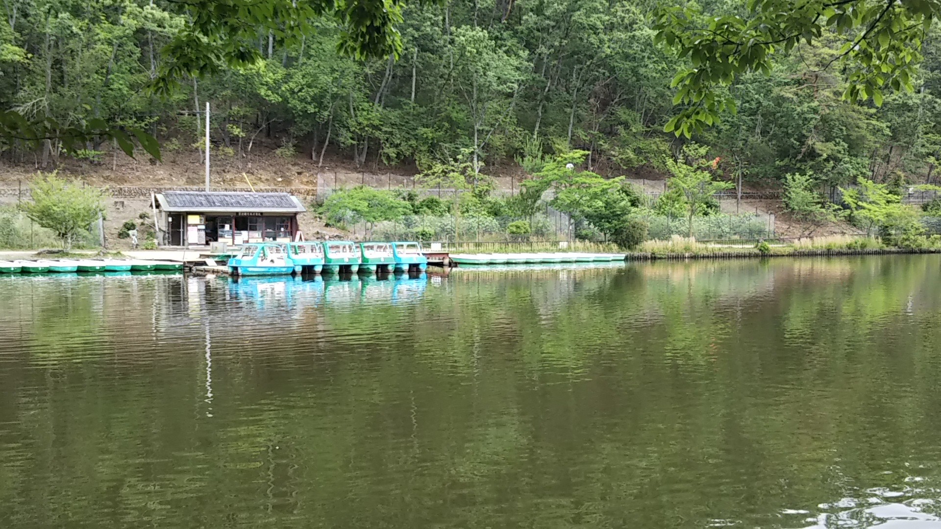 京都 五山送り火の妙 法へ じゅんきちさんの京都市の活動日記 Yamap ヤマップ