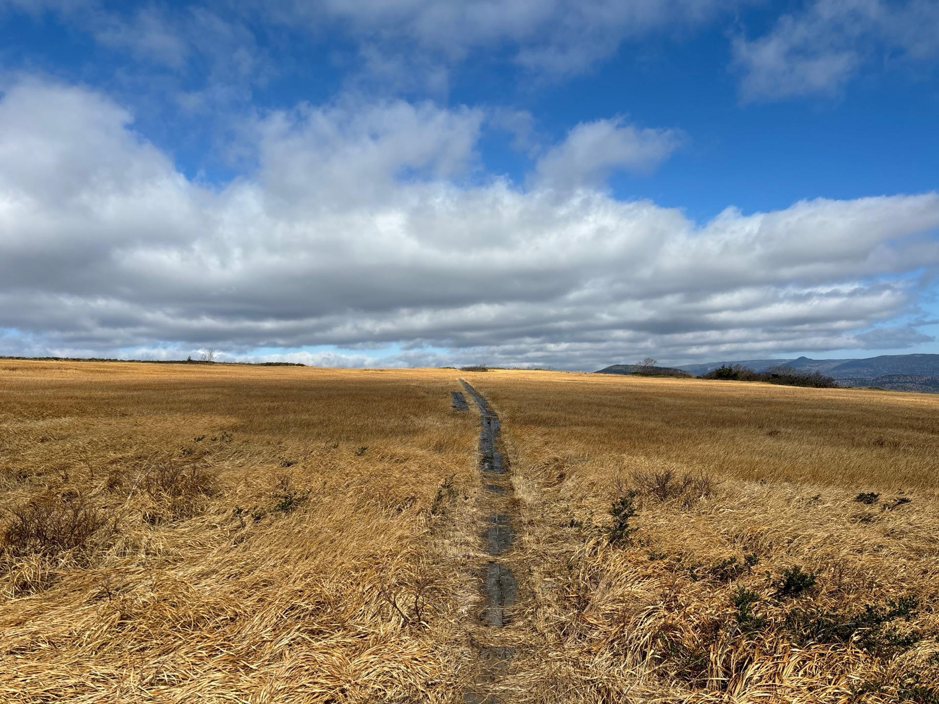 山と自然 YAMANO Yellow FM01002 – Flower MOUNTAIN