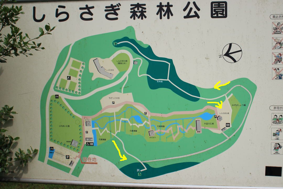 しらさぎ森林公園 散策道トレッキング とうきさんの三条市の活動データ Yamap ヤマップ