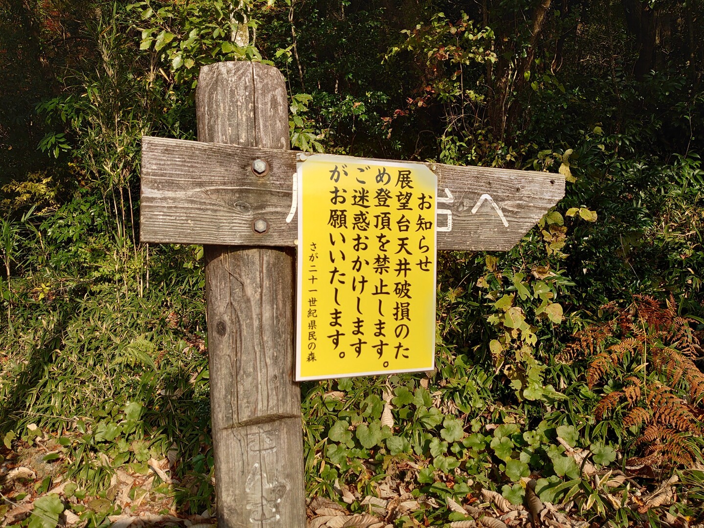 佐賀県立21世紀県民の森 北山ダム 散策 佐賀県 11 08 K Yoshidaさんの天山の活動日記 Yamap ヤマップ