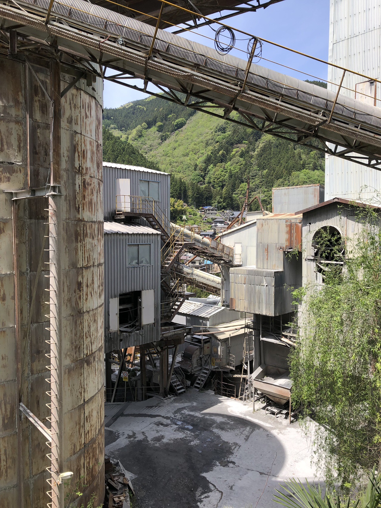 奥多摩むかし道 奥多摩工業裏 19 05 05 ｶﾂdﾒｶﾞﾈさんの川苔山 川乗山 の活動日記 Yamap ヤマップ