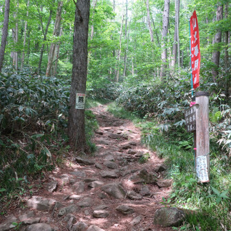 平元新道登山口まで降りて来ました。新緑が気持ち良いです。

ここから🅿️まで林道を4㎞位歩きます。
ふ～😚
途中から一緒に下山した方と山やマイカー🚙の話をしながらだったので、あっと言う間に🅿️へ着きました。
楽しいおしゃべりを
ありがとうございました。_(._.)_
