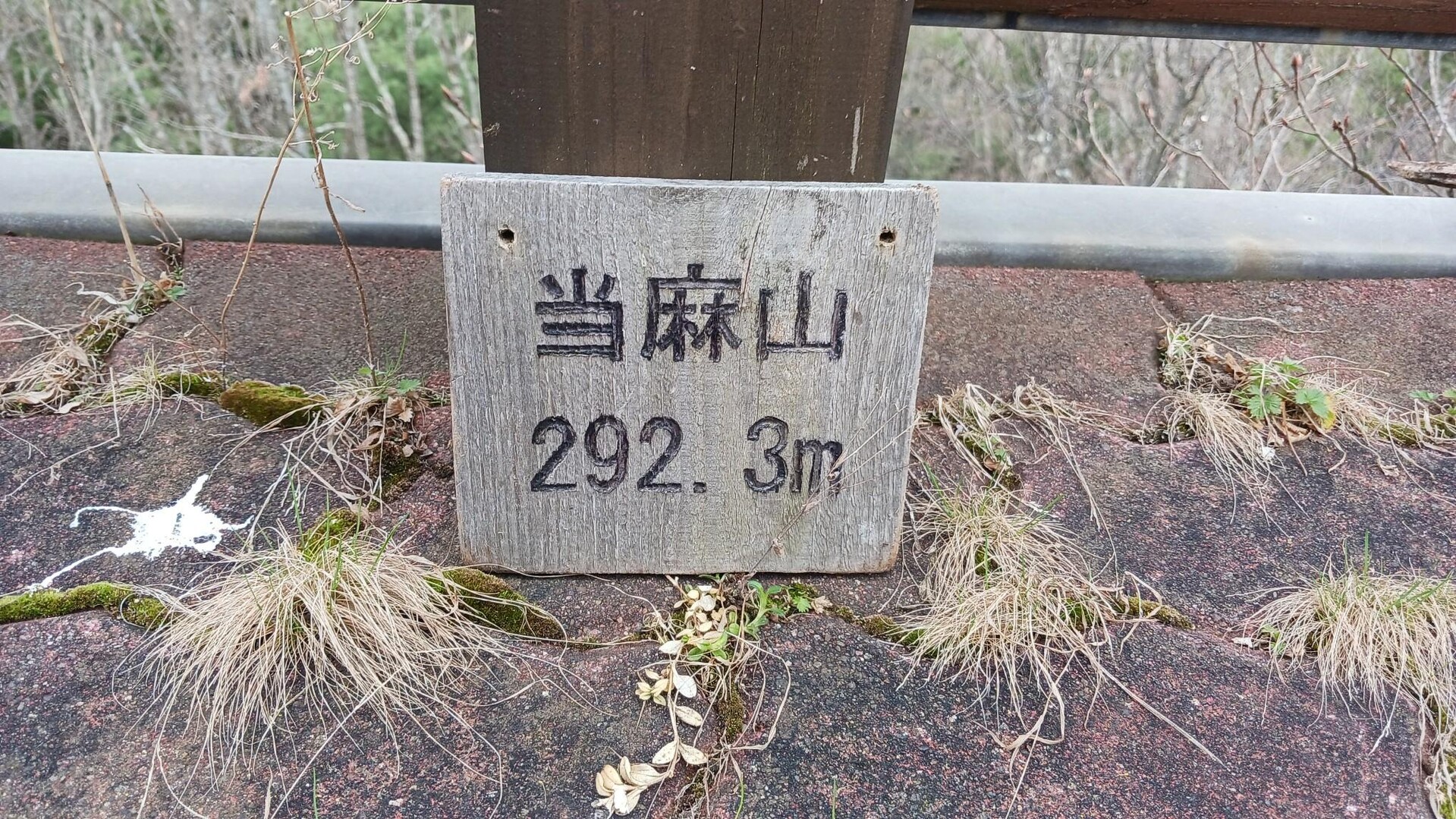 旭川周辺低山(当麻編)神社山・当麻山・将軍山・親子山・棚瀬山 / gensanさんの当麻山・将軍山の活動データ YAMAP / ヤマップ