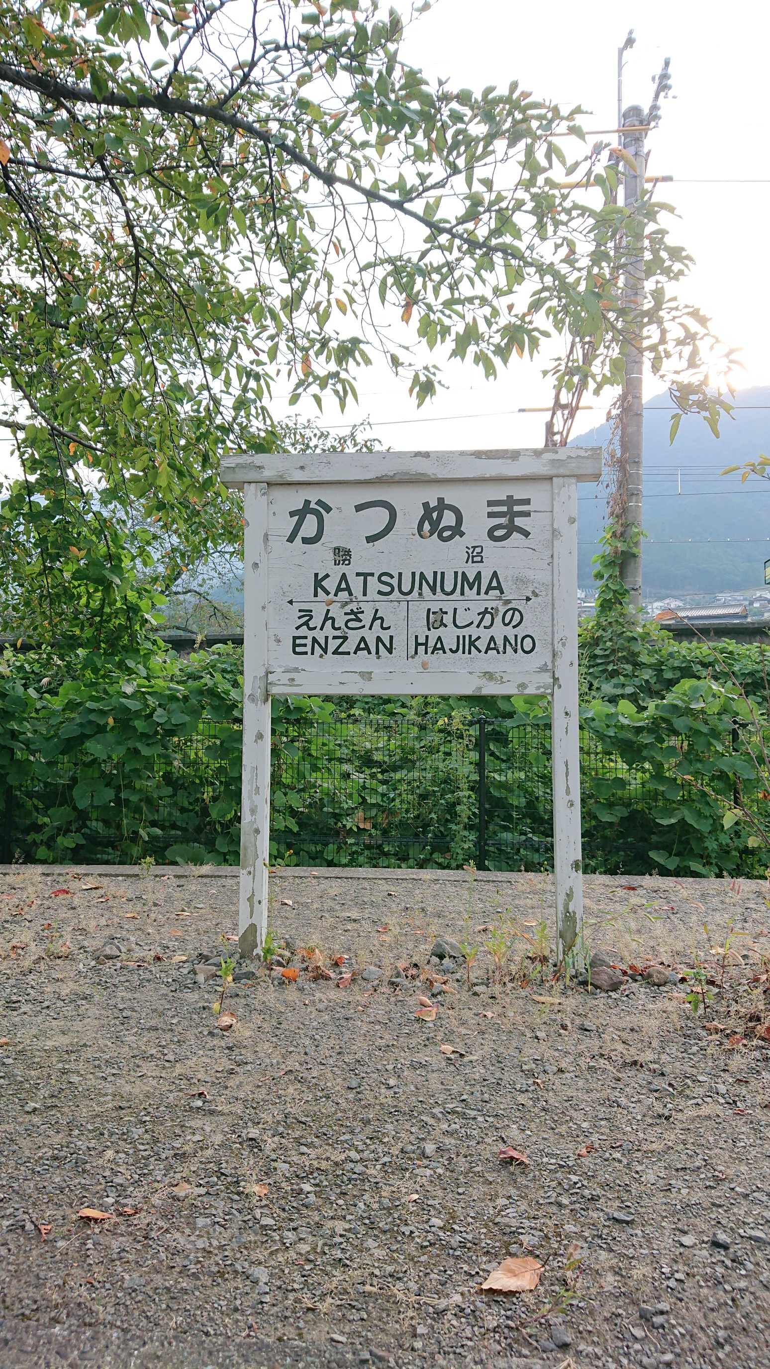 蓴羹鱸膾 棚横手山 甲州高尾山 山梨県甲州市 柏尾山 勝沼ぶどう郷周遊 サムライさんの甲州高尾山 高宕山 源次郎岳の活動データ Yamap ヤマップ