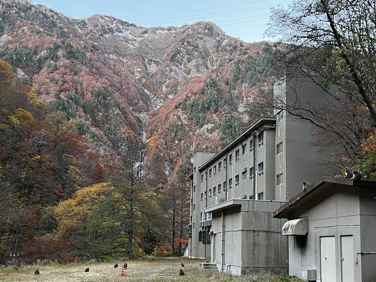 下の廊下 黒部ダム 欅平上部ピストン しゃおさんの剱岳の活動データ Yamap ヤマップ