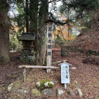 なぜか足柄峠のランドマーク踏めてないんですけど😭