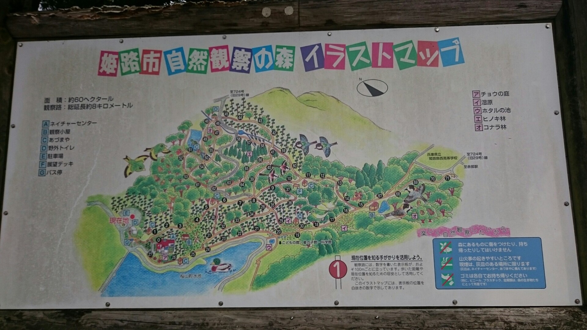 自然観察の森を散歩 Hhhbnfさんの姫路市の活動データ Yamap ヤマップ