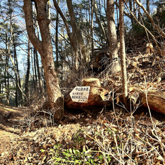 歩いてすぐでした。眺望はないけど少し広くなっています