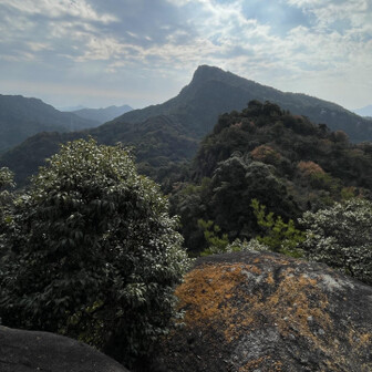 太郎丸から次郎丸を見る