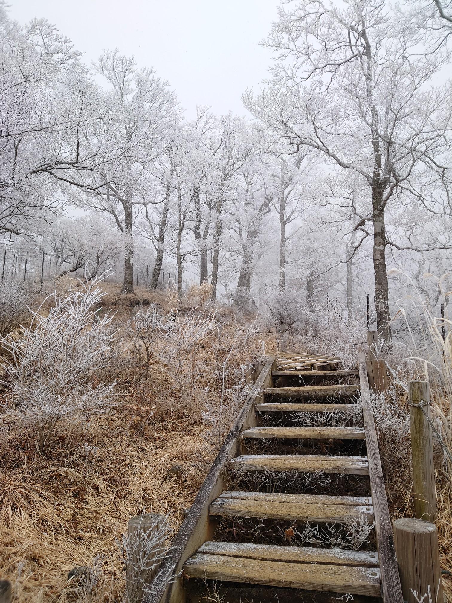西丹沢県民の森→石棚山・テシロノ頭・檜洞丸 / たかじまさんの大室山・畦ヶ丸山・菰釣山の活動データ YAMAP / ヤマップ