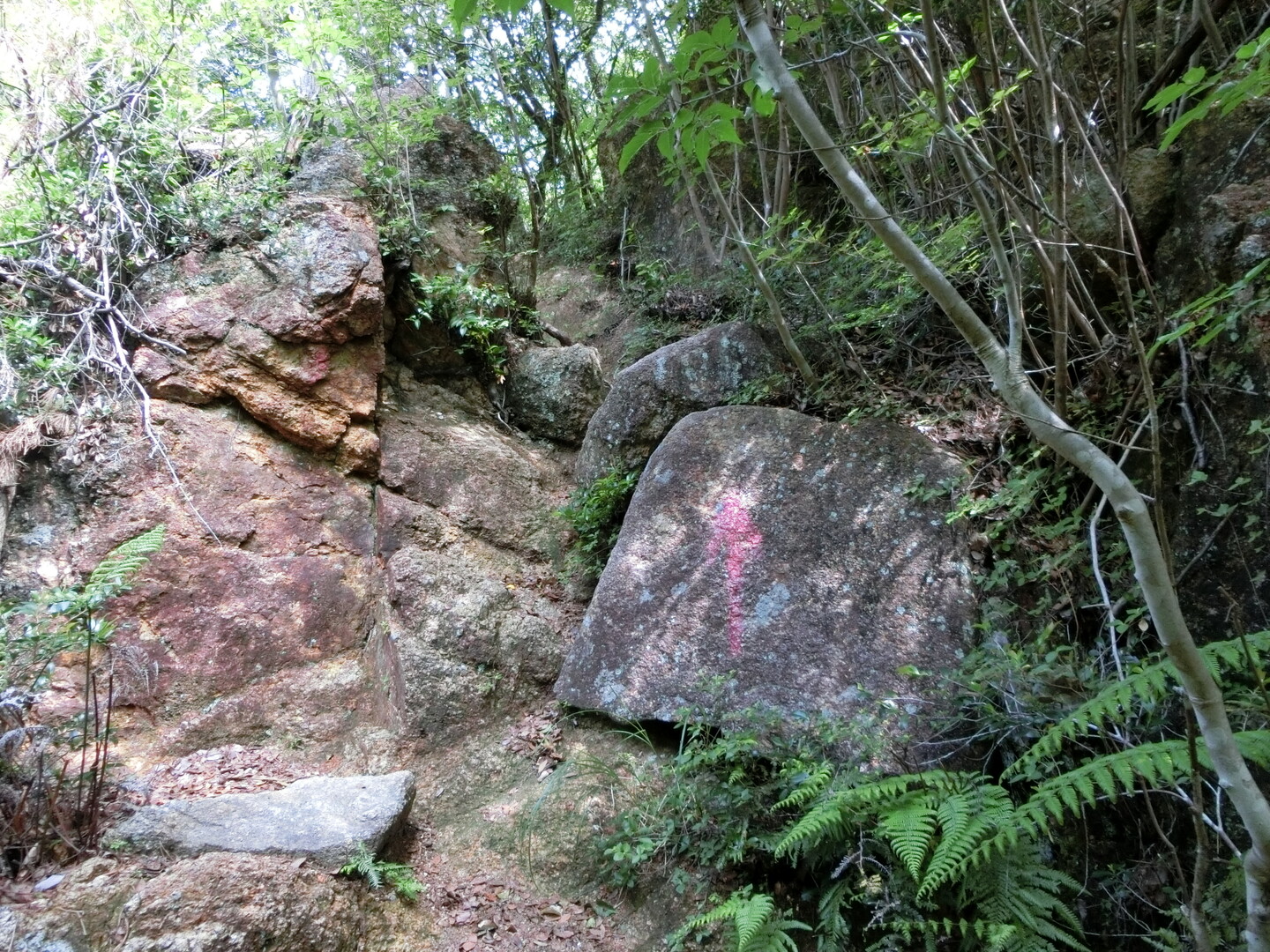 高座の滝～高座谷～奥高座滝～荒地山 / 六甲山・長峰山・摩耶山の写真7枚目 / 矢印通りに。 YAMAP / ヤマップ