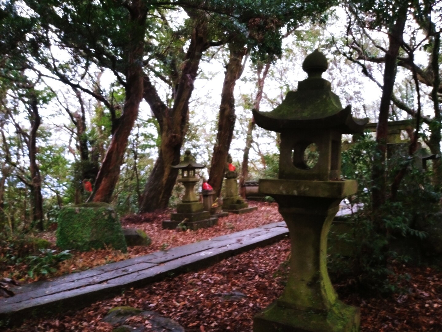 諌早の山第三弾 金比羅岳 Shinjoさんの諫早市の活動日記 Yamap ヤマップ