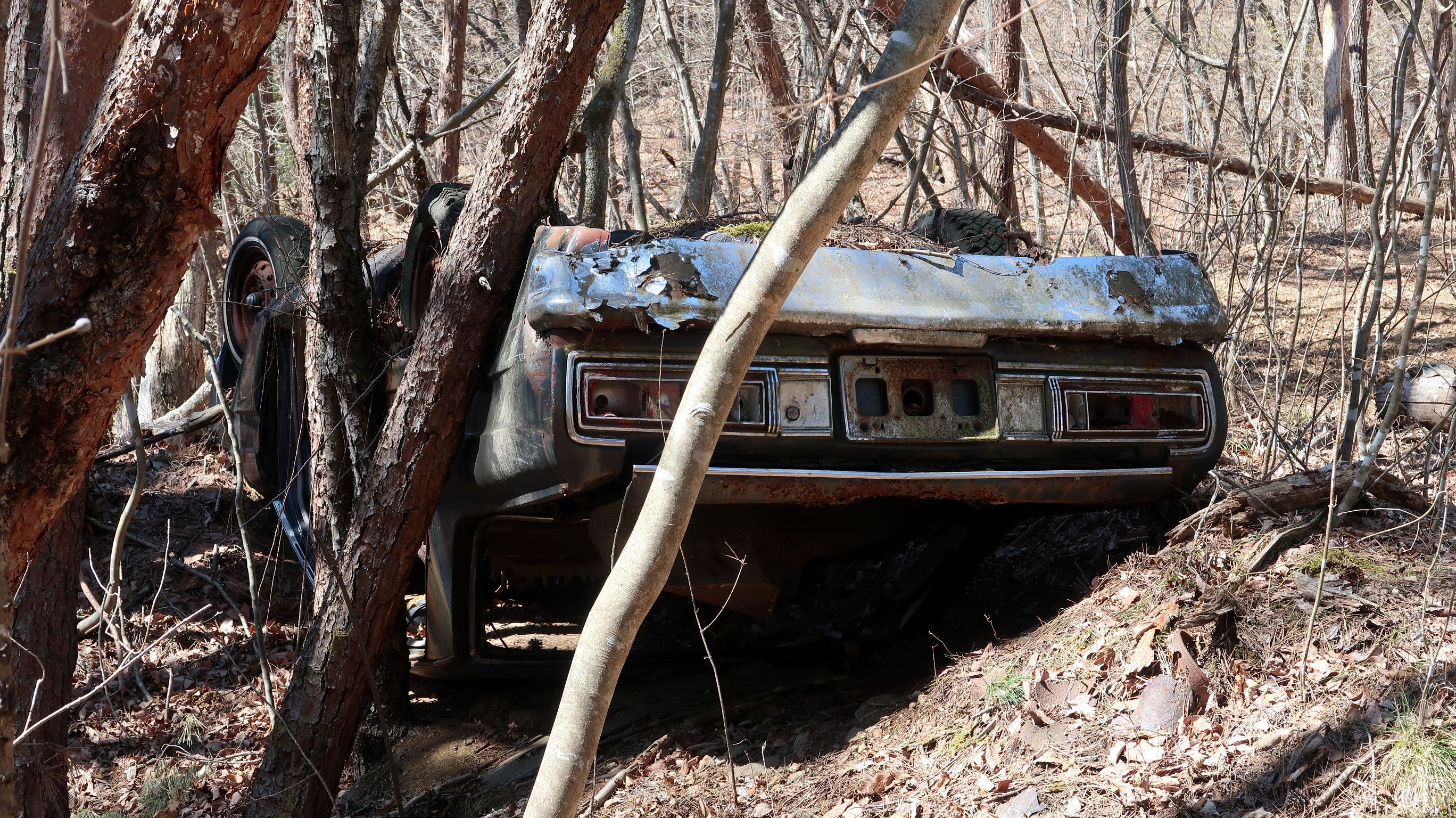 ほったらかし温泉裏の作業道と草ヒロ 03 01 Taiidanaさんの要害山 兜山 大蔵経寺山の活動日記 Yamap ヤマップ