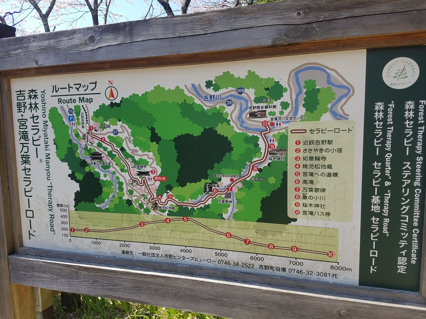 吉野千本桜 04 05 じゅんさんの吉野山 青根ヶ峰 百貝岳の活動データ Yamap ヤマップ
