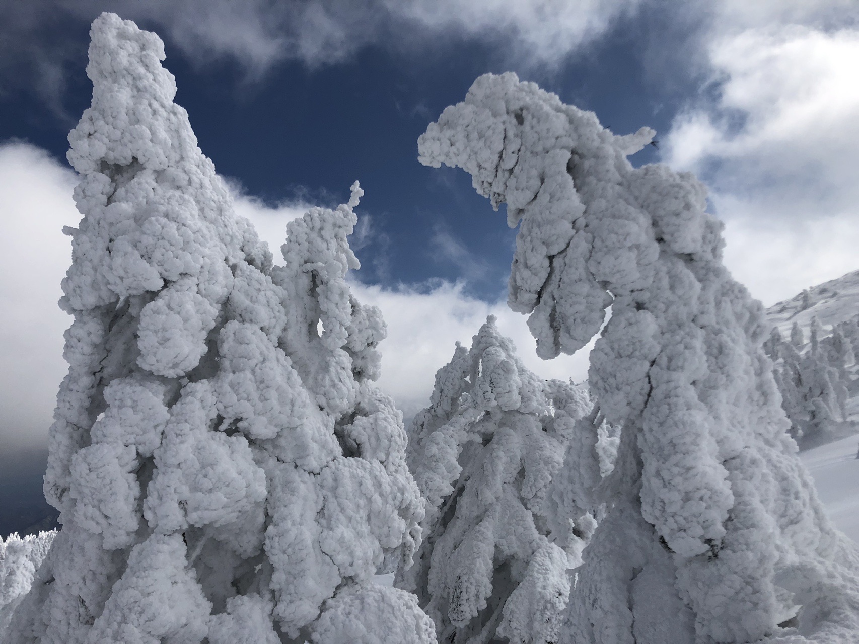 スノーモンスター復活の蔵王 Akihirofさんの蔵王山 雁戸山 不忘山の活動データ Yamap ヤマップ