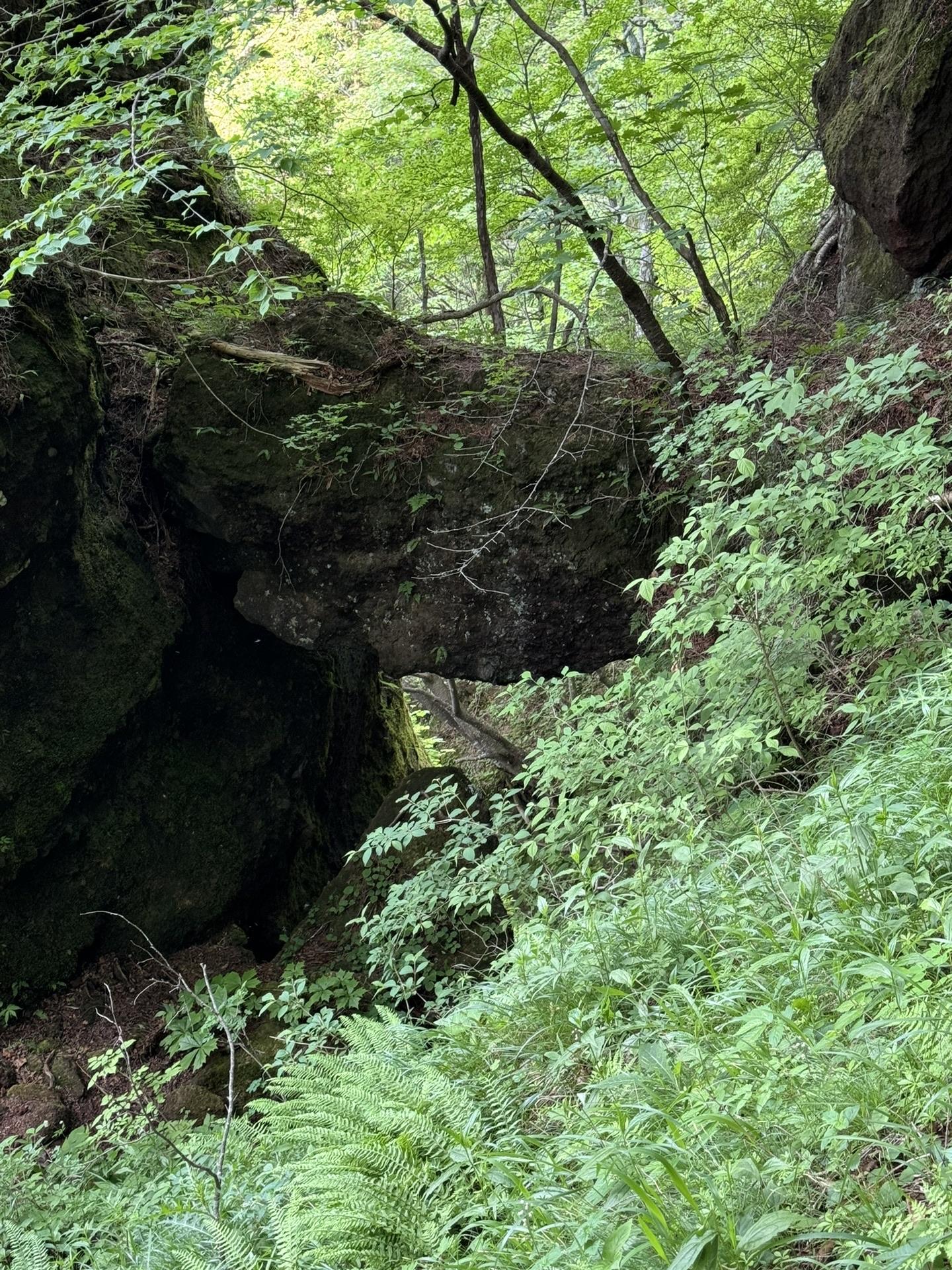 皇海山・袈裟丸山・庚申山 岩の鳥居みたいになってます。