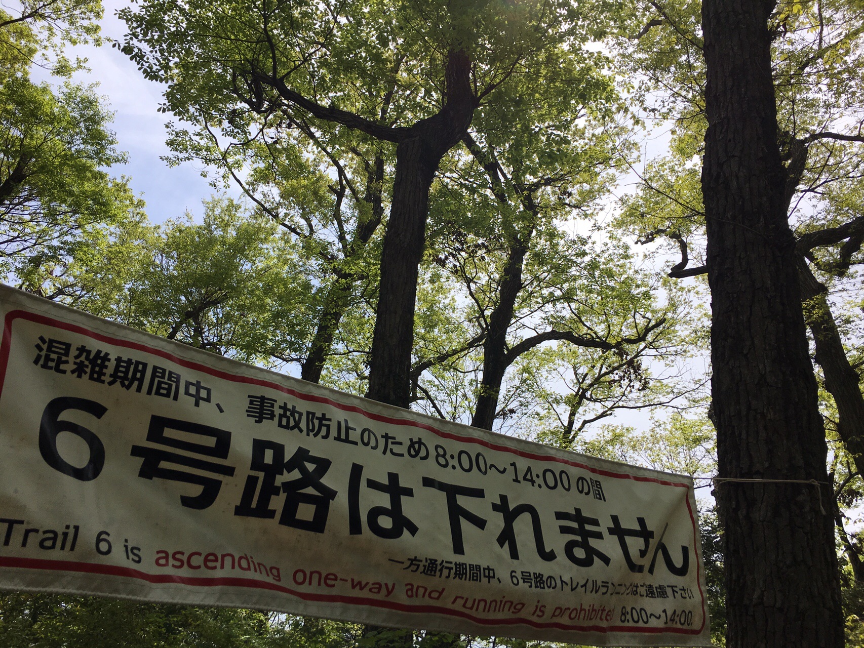 ヤマノススメ聖地巡礼登山 改元記念 陣馬高尾縦走 小松さんの高尾山 陣馬山 景信山の活動データ Yamap ヤマップ