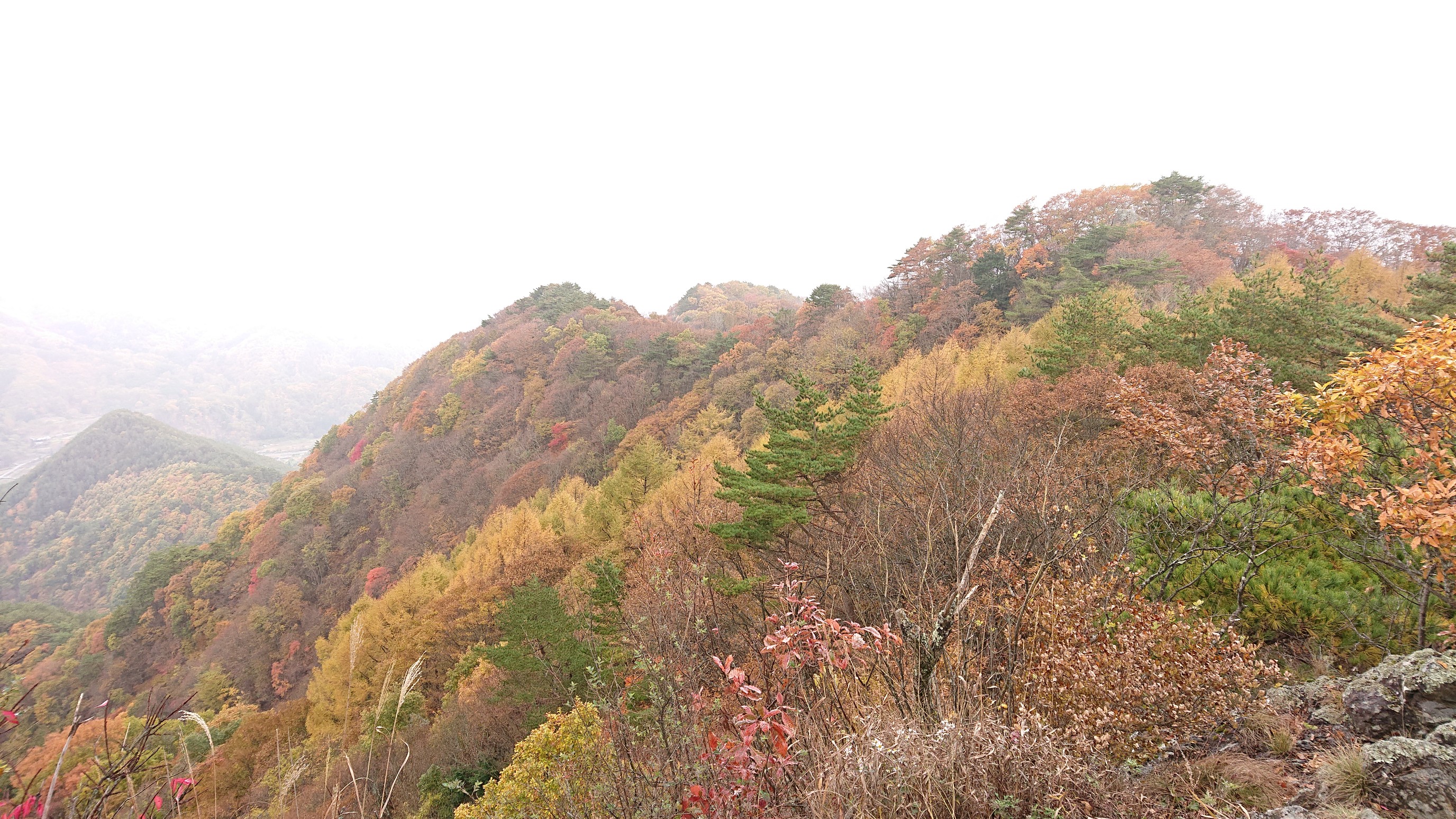 独鈷山とっこさん ヤマヒコさんの独鈷山の活動データ Yamap ヤマップ