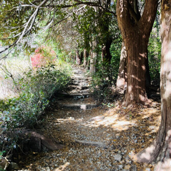 前回とうってかわってひんやり冬の風の吹く多度山〜
