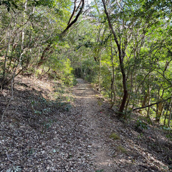 鷲尾山・皿ヶ峰・宇津野山 春っぽく