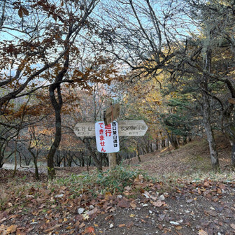 高谷山と夜叉神峠小屋との分岐。
夜叉神峠小屋へ。