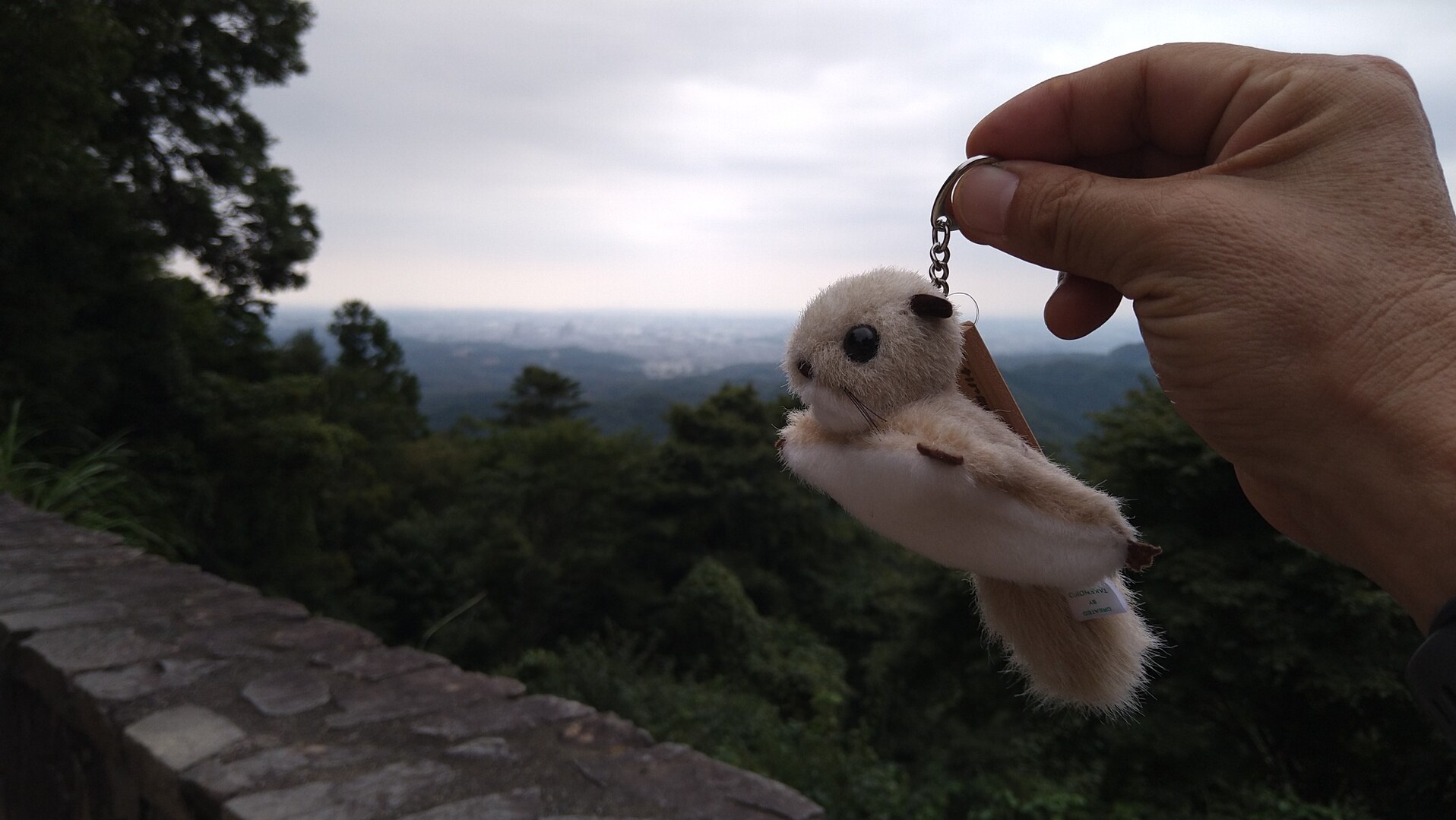 ムササビキーホルダー やっと手に入れました しんさんの高尾山 陣馬山 景信山の活動データ Yamap ヤマップ