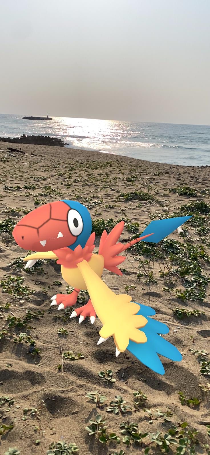 塩屋海岸 04 29 Yamorimoriさんの加賀市の活動データ Yamap ヤマップ