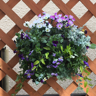 横浜から鎌倉までの森林浴 小さな 見つけた かっこチャンさんの横浜市 南エリアの活動データ Yamap ヤマップ