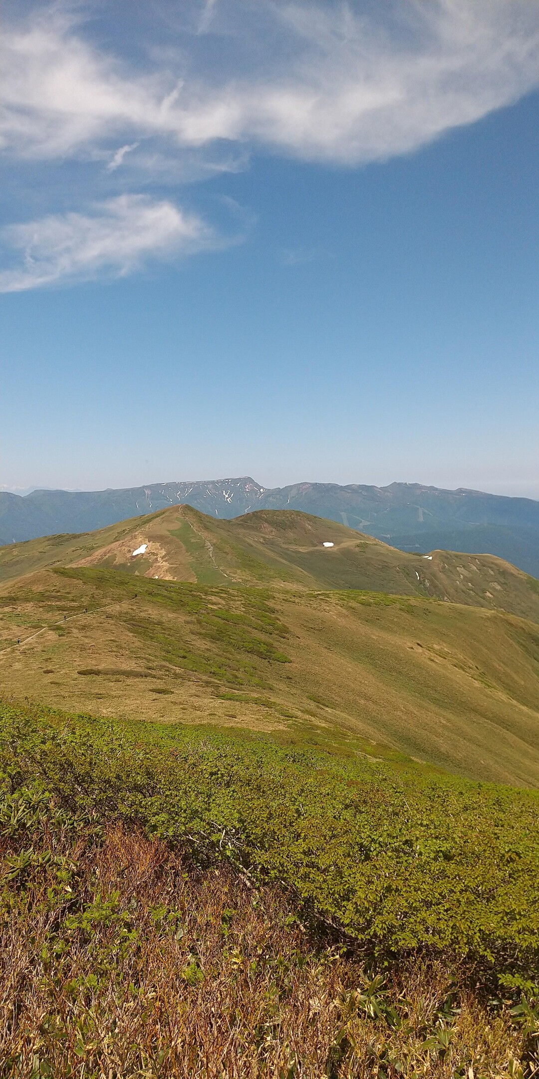 仙ノ倉山・平標山・大源太山-2023-06-17 / yamazakuraさんの仙ノ倉山・平標山・大源太山の活動データ | YAMAP / ヤマップ