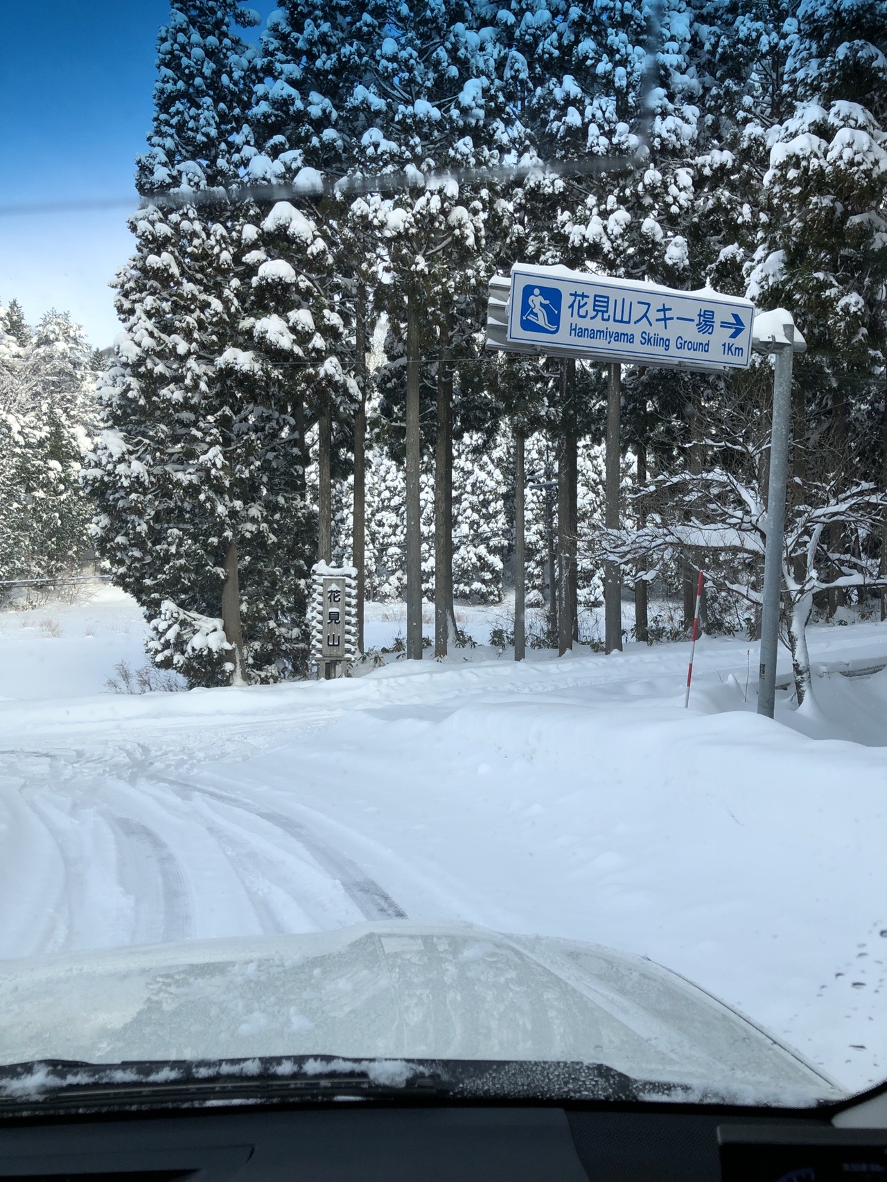 花見山深雪撤退 21 01 03 ヤマトさんの花見山の活動日記 Yamap ヤマップ
