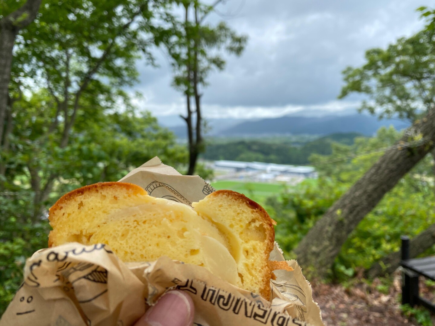 村国山(大屋登山口から展望台） / KEIPPE☆BEさんの村国山の活動データ YAMAP / ヤマップ