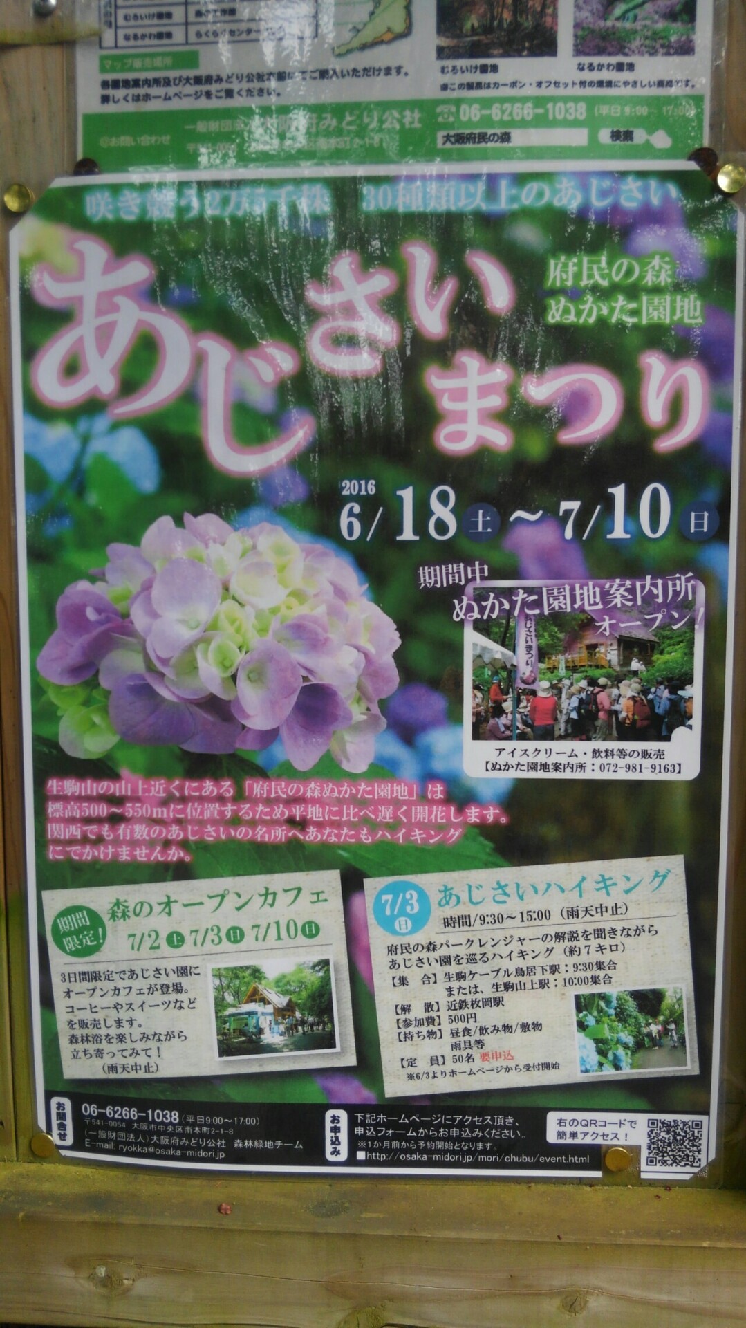 生駒 あじさいまつり直前 Takemonさんの生駒山 神津嶽 大原山の活動データ Yamap ヤマップ