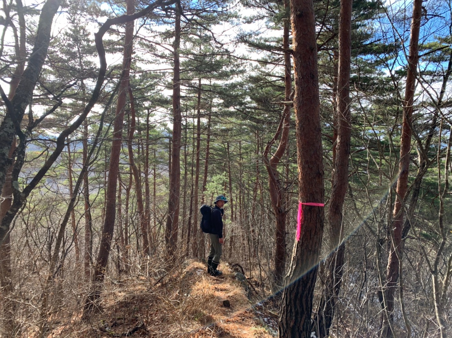 土塁石塁沿いを歩く黒森山 ヨシノブさんの黒森山 朝島山の活動データ Yamap ヤマップ