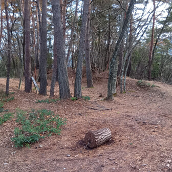 ⑨砦と城の違い分からんけど(散々山城巡りしてんのに？)、山頂は下手な山城の本丸よりも長く広いなぁ(小並感)