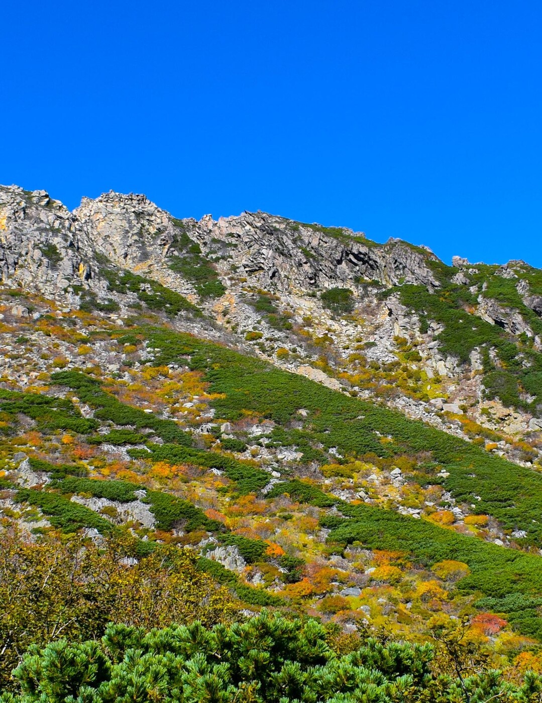 御嶽山（剣ヶ峰）