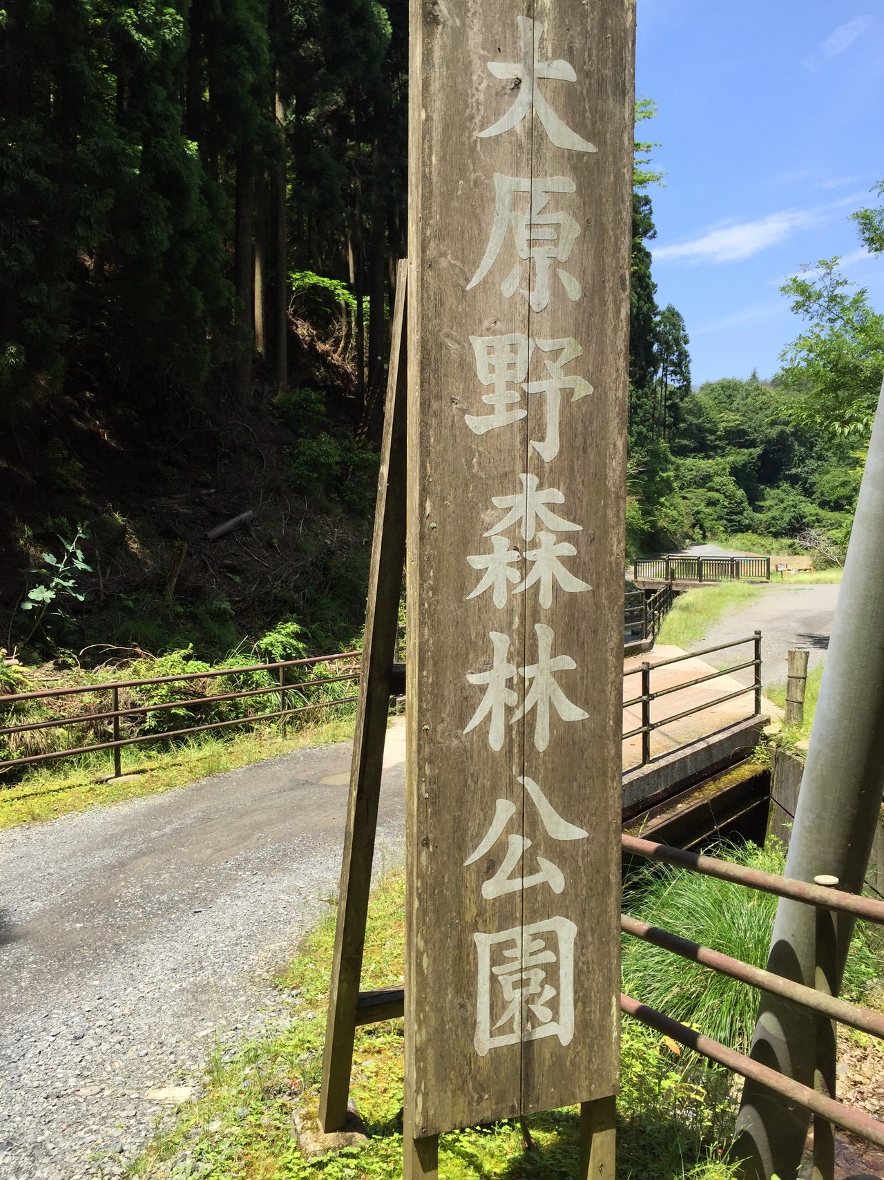 淳和天皇陵 小塩山 大原野森林公園 Mayさんのポンポン山 京都府 釈迦岳 小塩山の活動日記 Yamap ヤマップ
