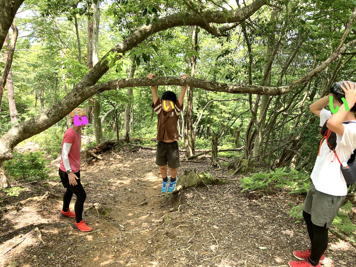 兄を潰す末っ子 たかぼーさんの蛇谷ヶ峰の活動データ Yamap ヤマップ