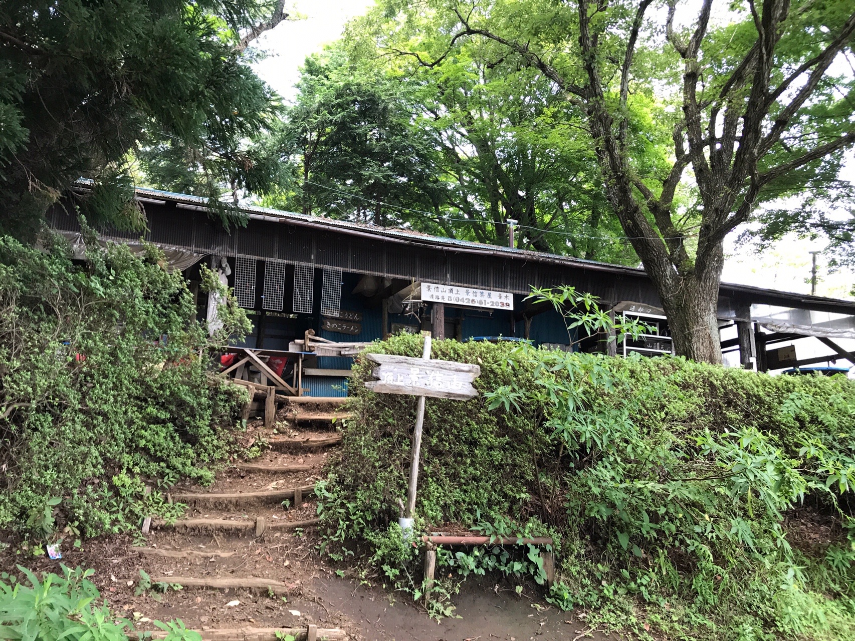 高尾山 城山 小仏城山 景信山 にちぇさんの高尾山 陣馬山 景信山の活動データ Yamap ヤマップ