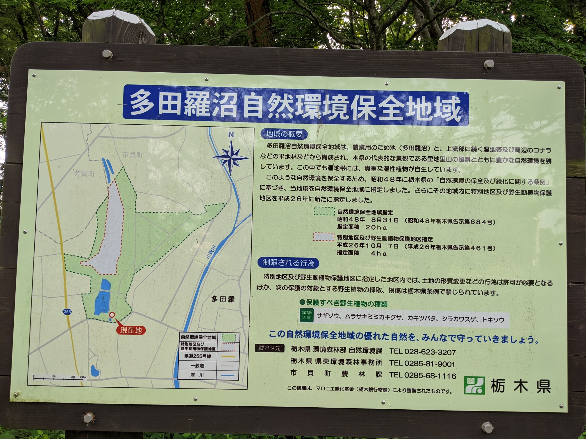 市貝市の多田羅沼 06 06 Koyuri ๑ ڡ ๑ さんの芳賀富士の活動データ Yamap ヤマップ