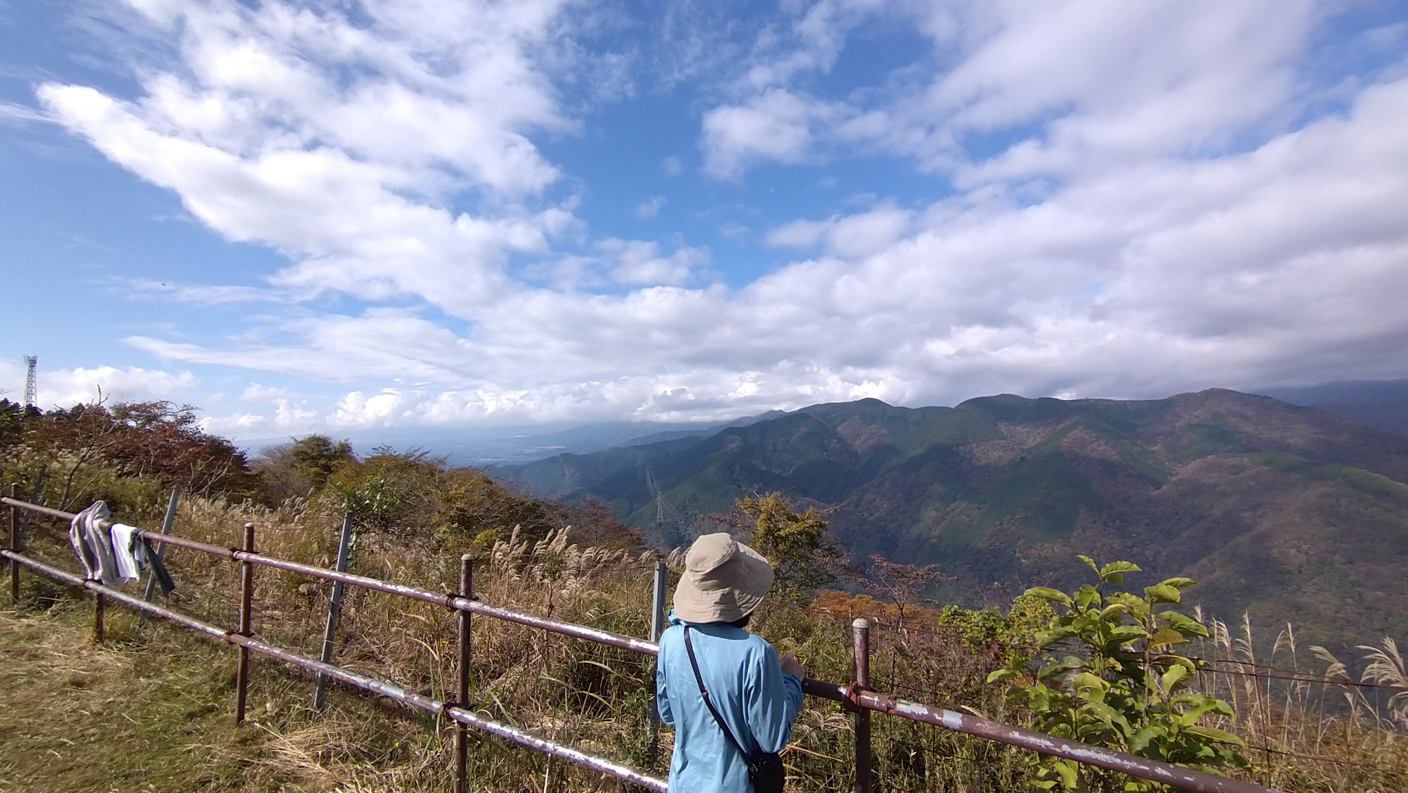 今週も残念 大野山 Konikoniさんの高松山 大野山の活動データ Yamap ヤマップ