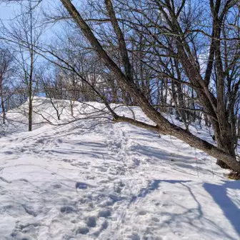 一ノ森の手前の鎖と虎縄の木
陽射しがあり雪が緩んでズボります