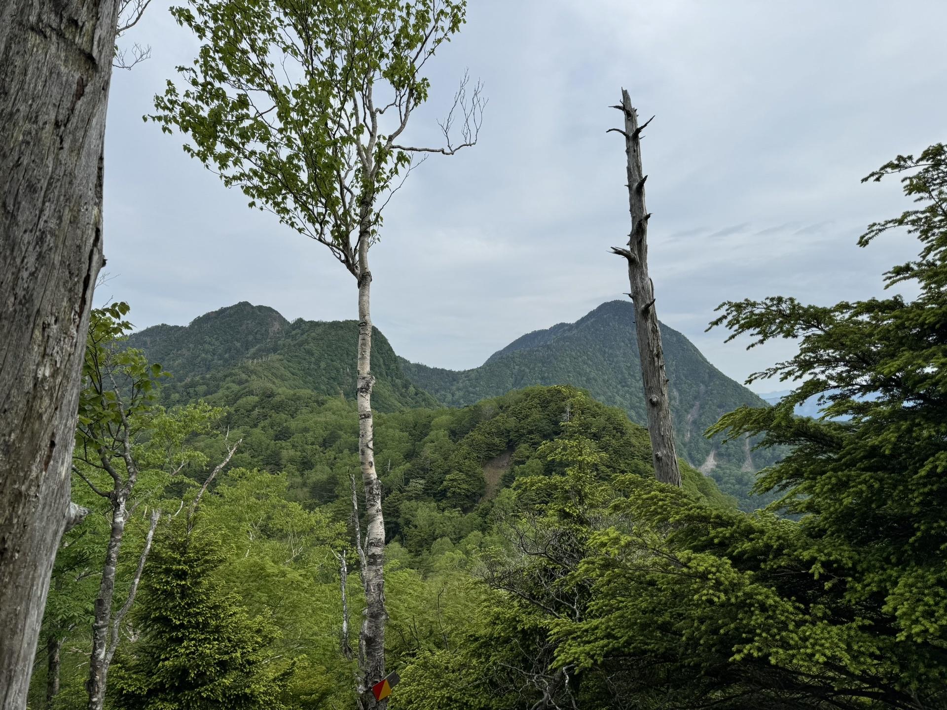 皇海山・袈裟丸山・庚申山 皇海山⛰️ モチべup